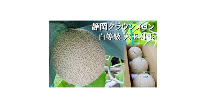 【ふるさと納税】クラウンメロン 並 ( 白等級 ) 大玉 ( 1.4kg前後 ) 3玉入り メロン 果物 くだもの フルーツ マスクメロン デザート 青肉　 袋井市