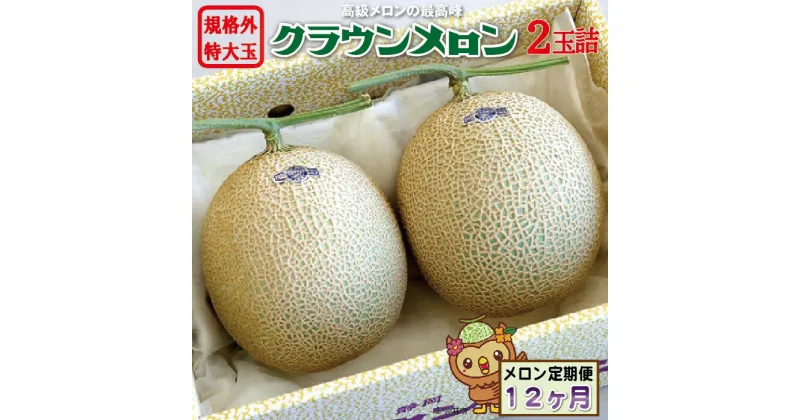 【ふるさと納税】【12ヶ月定期便】クラウンメロン　規格外特大玉（約1.7kg）2玉入　定期便・果物類・メロン青肉・クラウン・大玉・特大　お届け：◆返礼品到着後、すぐに状態をご確認ください◆