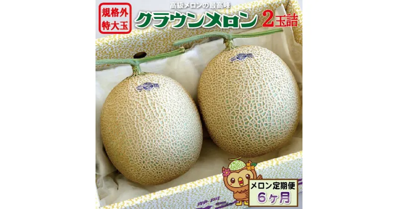 【ふるさと納税】【6ヶ月定期便】クラウンメロン　規格外特大玉（約1.7kg）2玉入　定期便・果物類・メロン青肉・クラウン・大玉・特大　お届け：◆返礼品到着後、すぐに状態をご確認ください◆