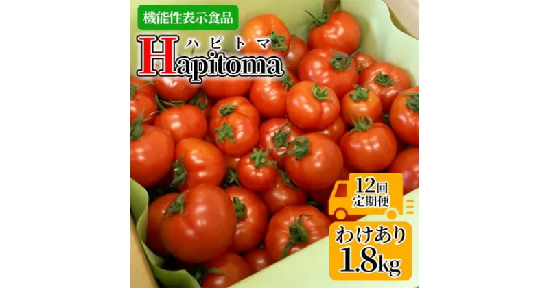 【ふるさと納税】【12ヶ月定期便】機能性表示食品 Hapitoma ハピトマ 訳あり（1.8kg）【配送不可：北海道・沖縄・離島】健康 ヘルシー 人気 厳選 　定期便・ 野菜 緑黄色野菜 産地直送 ダブル成分 GABA リコピン トマト 国産 静岡県産 袋井市産 食材