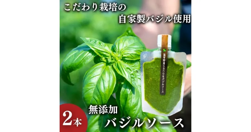 【ふるさと納税】温室野菜 sano 生バジルソース2本セット　加工食品・加工食品・ソース