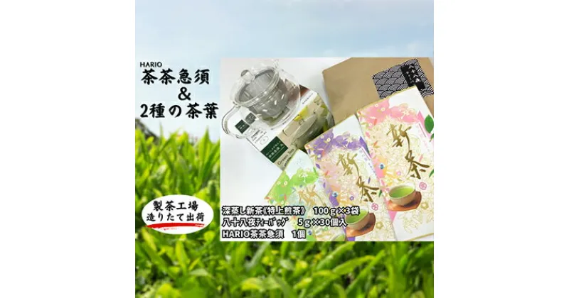 【ふるさと納税】ハリオ「茶茶急須」　特選　深蒸し新茶《特上煎茶》と八十八夜ティーバッグ　 袋井市 　お届け：2024年6月初旬～2025年4月中旬