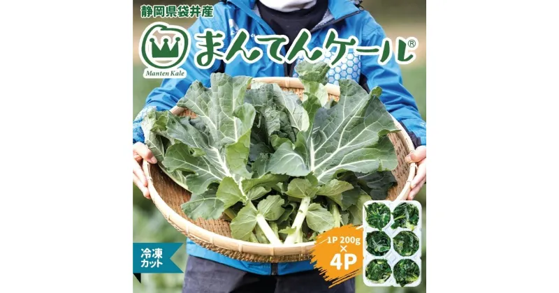 【ふるさと納税】まんてんケール 　冷凍カットケールセット　 野菜 冷凍野菜 食べやすい スムージー ソテー 炒め物 食材 食卓