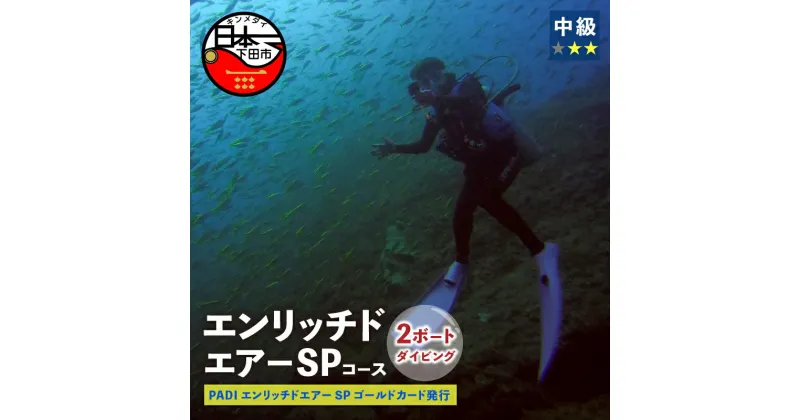 【ふるさと納税】 ダイビング 海 エンリッチドエアー 2ボードダイビング オープンウォーターダイバー ライセンス保持者 体験 アウトドア スポーツ 海 アクティビティ マリンスポーツ レジャー 静岡 伊豆 下田 ドラゴンレディ