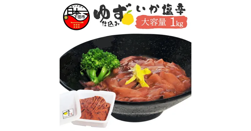 【ふるさと納税】 塩辛 イカ ゆず ごはん おかず おつまみ 豆腐 納豆 大容量 1kg 【ゆず食品】 送料無料