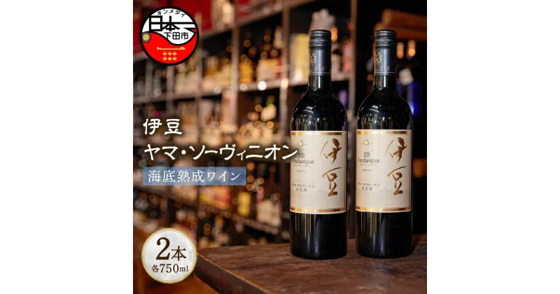 【ふるさと納税】 酒 ワイン 赤ワイン 数量限定 海底 熟成 6ヶ月 750ml 2本 辛口 ヤマ・ソーヴィニオン お取り寄せ 静岡 下田 伊豆 アルコール12% 【地酒と地場産品の店 豆州庵】 送料無料