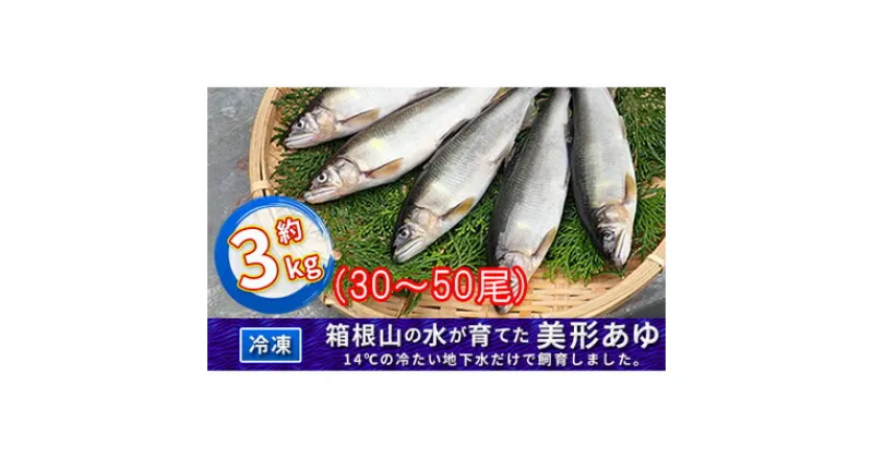 【ふるさと納税】箱根の水が育てた美形あゆ【冷凍 約3kg（30～50尾）】　魚貝類・鮎・アユ