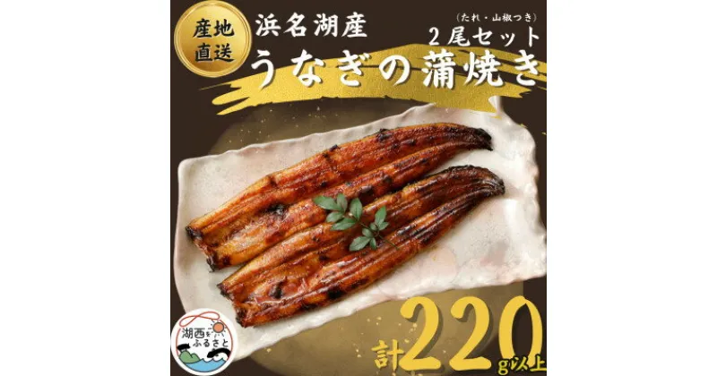 【ふるさと納税】【 国産 】 浜名湖うなぎ 蒲焼き 110g以上 2本 セット ( たれ ・ 山椒 付き)_ うなぎ ウナギ 鰻 蒲焼 かば焼き 浜名湖産 浜名湖 静岡県 湖西市 ふるさと 惣菜 おかず 人気 美味しい 【配送不可地域：離島】【1487458】