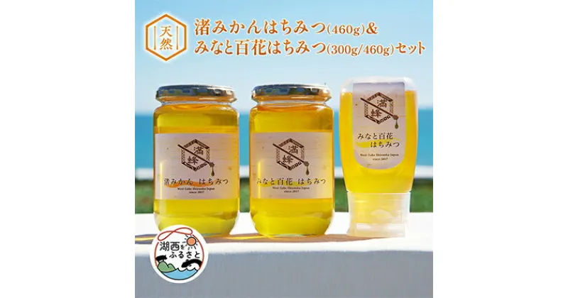 【ふるさと納税】浜名湖ほとり 渚みかんはちみつ・みなと百花はちみつ 各460g・みなと百花はちみつ 300g　3本【1390461】