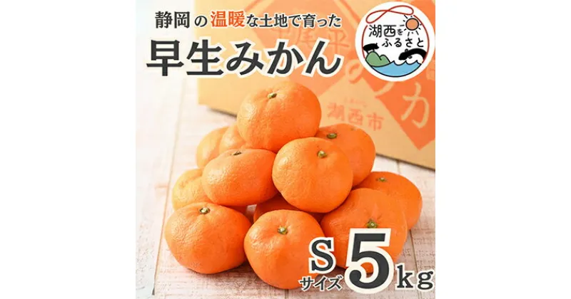 【ふるさと納税】【先行予約】【11月より順次出荷予定】早生みかん約5kg Sサイズ〔鈴木農園〕【1510092】