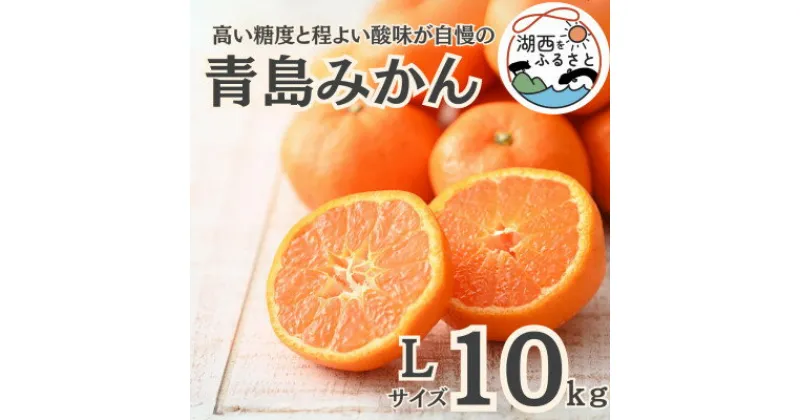 【ふるさと納税】【先行予約】【2025月1月より順次出荷予定】青島みかん約10kg Lサイズ〔鈴木農園〕【1510095】