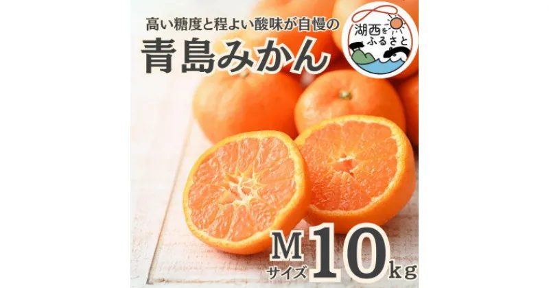 【ふるさと納税】【先行予約】【2025月1月より順次出荷予定】青島みかん約10kg Mサイズ〔鈴木農園〕【1510099】