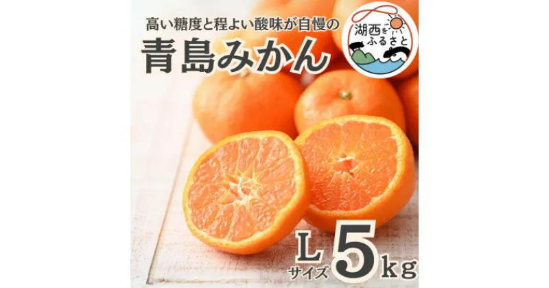 【ふるさと納税】【先行予約】【2025月1月より順次出荷予定】青島みかん約5kg Lサイズ〔鈴木農園〕【1510101】