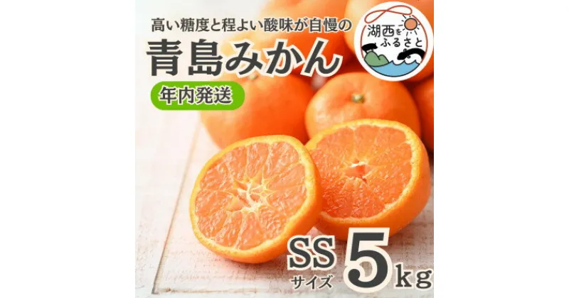 【ふるさと納税】【年内発送】【12月より順次出荷予定】青島みかん約5kg SSサイズ〔鈴木農園〕【1510102】