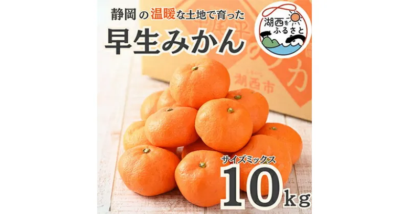 【ふるさと納税】【先行予約】【11月より順次出荷予定】早生みかん約10kg サイズミックス〔鈴木農園〕【1510106】