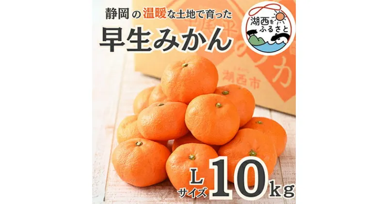 【ふるさと納税】【先行予約】【11月より順次出荷予定】早生みかん約10kg Lサイズ〔鈴木農園〕【1510108】