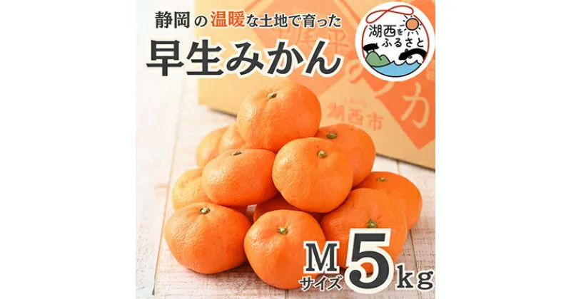 【ふるさと納税】【先行予約】【11月より順次出荷予定】早生みかん約5kg Mサイズ〔鈴木農園〕【1510109】