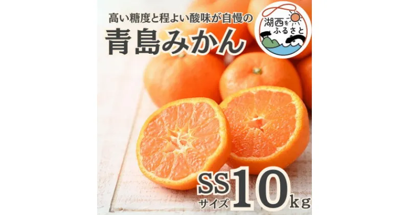 【ふるさと納税】【先行予約】【2025月1月より順次出荷予定】青島みかん約10kg SSサイズ〔鈴木農園〕【1510112】