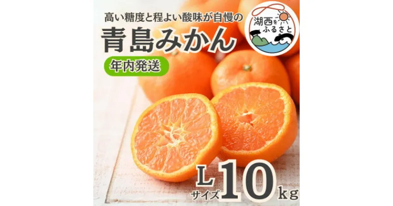 【ふるさと納税】【年内発送】【12月より順次出荷予定】青島みかん約10kg Lサイズ〔鈴木農園〕【1510114】