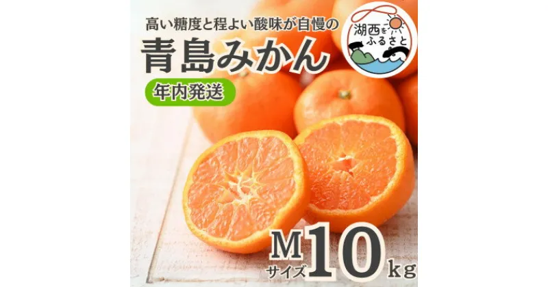 【ふるさと納税】【年内発送】【12月より順次出荷予定】青島みかん約10kg Mサイズ〔鈴木農園〕【1510115】