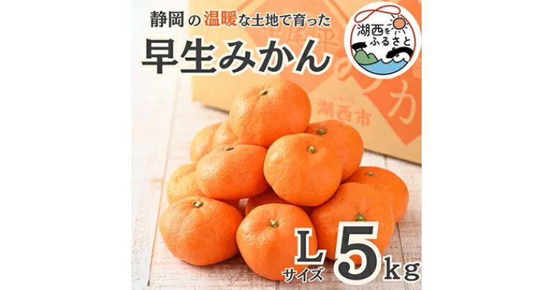 【ふるさと納税】【先行予約】【11月より順次出荷予定】早生みかん約5kg Lサイズ〔鈴木農園〕【1510117】