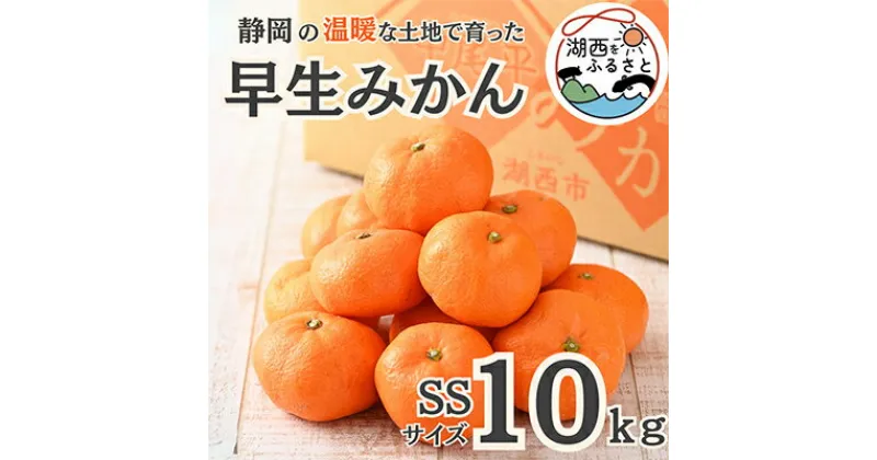 【ふるさと納税】【先行予約】【11月より順次出荷予定】早生みかん約10kg SSサイズ〔鈴木農園〕【1510124】