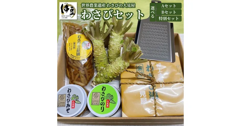 【ふるさと納税】 わさびセット (プラスチックおろし板+レシピ付) / 伊豆 特産品 特産 わさび ワサビ 生 生わさび 生ワサビ 本わさび 本ワサビ 薬味 おろし金 セット 詰め合わせ 加工品 贈り物 ギフト お取り寄せ 国産 国内 静岡 静岡県 伊豆市 大見屋