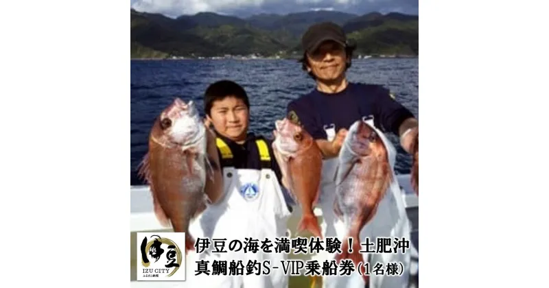 【ふるさと納税】 マダイ 船釣 スーパー VIP 乗船券 乗合 1名様分 / 伊豆 真鯛 同船 船釣り 釣船 釣り船 釣り つり 海 海釣り 初心者 土肥 駿河湾 港 船 魚 体験 レジャー アウトドア チケット 利用券 静岡県 伊豆市 [070-002]