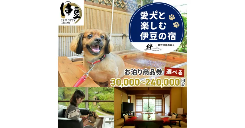 【ふるさと納税】 伊豆 修善寺 絆PLUS 宿泊補助券 (選べる / 30,000円分 60,000円分 90,000円分 120,000円分 150,000円分 240,000円分) |/ 静岡 修善寺温泉 ペット 温泉 温泉宿 宿 ホテル 旅館 ペア 宿泊 宿泊券 補助券 商品券 チケット 旅行 国内 静岡県 伊豆