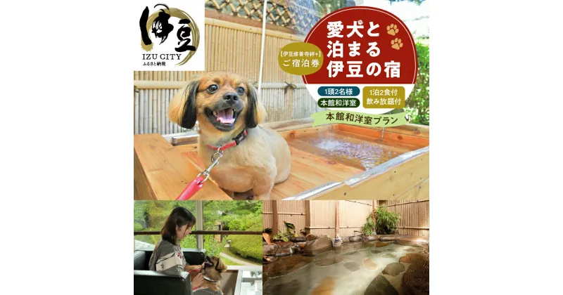 【ふるさと納税】 伊豆 修善寺 絆PLUS 2名様+愛犬1頭ご宿泊券 1泊2食夕食時飲み放題付 本館和洋室ご宿泊プラン / 静岡 修善寺温泉 ペット 温泉 温泉宿 宿 ホテル 旅館 ペア ペア 宿泊 宿泊券 旅行 国内 静岡県 伊豆市 izu [40-008]