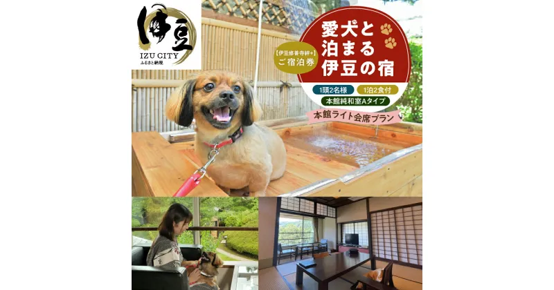 【ふるさと納税】 伊豆 修善寺 絆PLUS 2名様+愛犬1頭ご宿泊券 1泊2食ウェルカムドリンク付 会席料理を気軽に楽しむ本館ライト会席プラン / 静岡 修善寺温泉 ペット ペア 温泉 温泉宿 宿 ホテル 旅館 ペア 宿泊 宿泊券 旅行 国内 静岡県 伊豆市 izu [25-005]