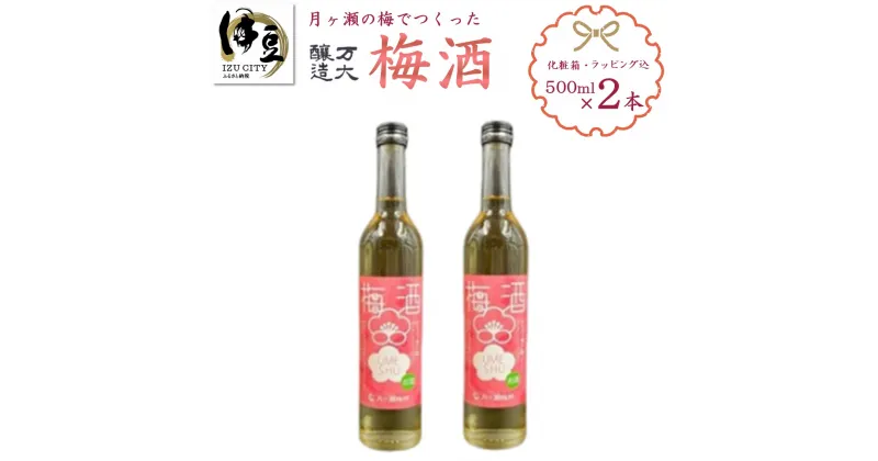 【ふるさと納税】 梅酒 500ml×2本セット (化粧箱・ラッピング込) / 伊豆 月ヶ瀬 ウメシュ 梅 うめ ウメ 果実酒 リキュール 酒 お酒 地酒 洋酒 瓶 お取り寄せ 国産 贈り物 ギフト 静岡県 伊豆市 [010-016]