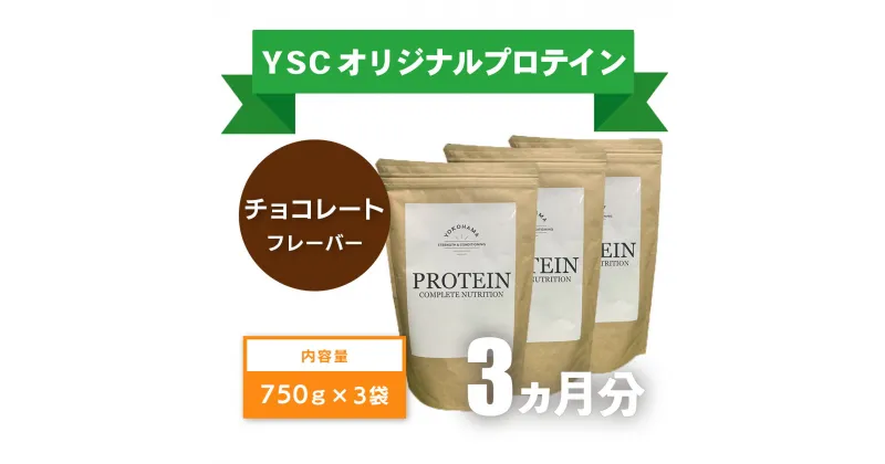 【ふるさと納税】 YOKOHAMA STRENGTH & CONDITIONING PROTEIN COMPLETE NUTRITION　3ヶ月分 ホエイプロテインパウダー チョコレート風味 ドリンク メンテナンス ホエイ 健康 体 維持　057-001