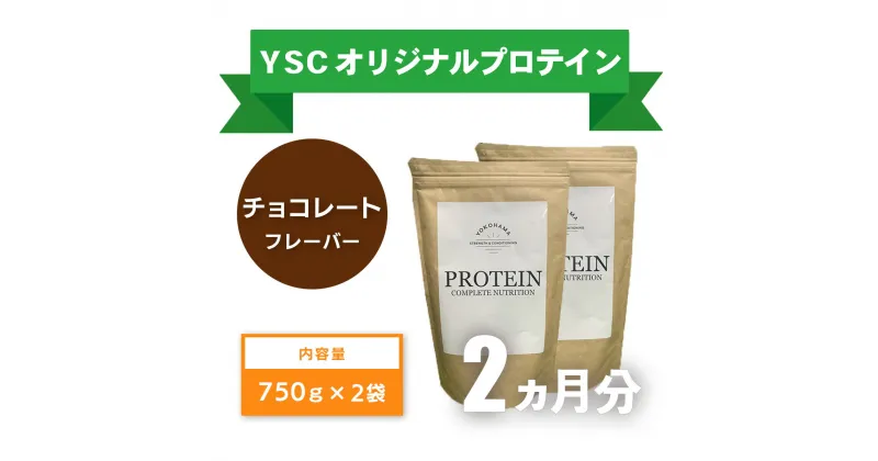 【ふるさと納税】 YOKOHAMA STRENGTH & CONDITIONING PROTEIN COMPLETE NUTRITION　2ヶ月分 ホエイプロテインパウダー チョコレート風味 ドリンク メンテナンス ホエイ 健康 体 維持 039-002