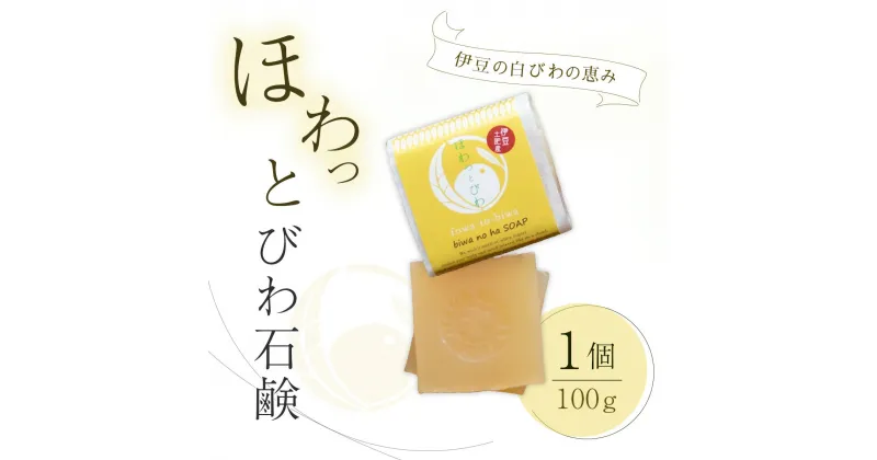 【ふるさと納税】ココロも カラダも ほわっと 土肥産 白びわ ほわっとびわ石鹸100g | 静岡県 伊豆市 伊豆 びわの葉 せっけん 石鹸 スキンケア ボディケア 自然 リラクゼーション ビューティケア 癒し 健康美容 ウェルビーイング リフレッシュ バスケア びわ アロマ 土肥