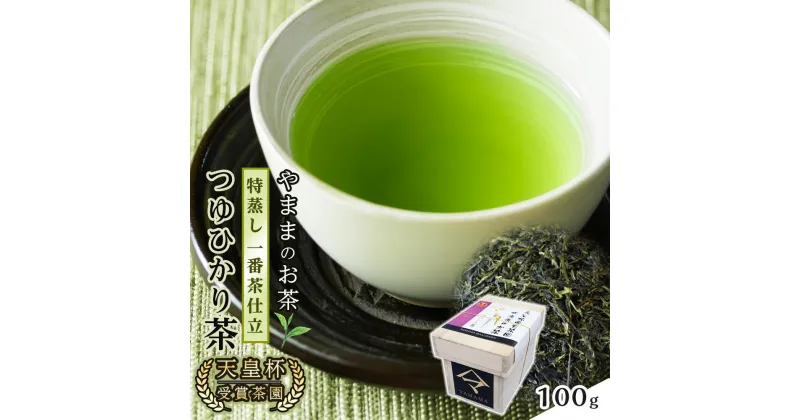 【ふるさと納税】天皇杯受賞茶園 やままのお茶　特蒸し一番茶仕立 　つゆひかり茶