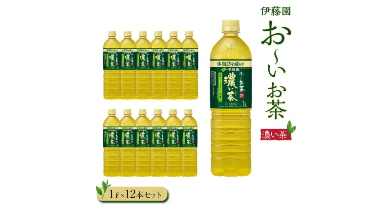 【ふるさと納税】お～いお茶　濃い茶1L　12セット　［おーいお茶 ペットボトル 1リットル ケース 箱 伊藤園 静岡］ | おーいお茶 ペットボトル ぺットボトル飲料 1リットル ケース 箱 伊藤園 静岡 カテキン 送料無料 健康 飲料 ソフトドリンク まとめ買い 常備品