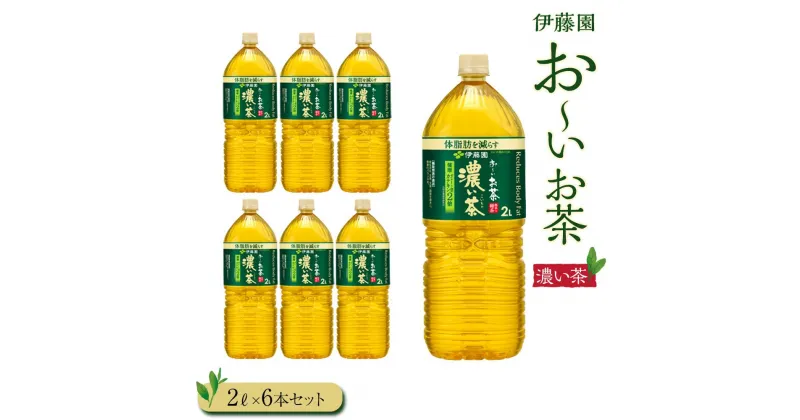 【ふるさと納税】お～いお茶　濃い茶2L　6本セット | おーいお茶 ペットボトル ぺットボトル飲料 2リットル ケース 箱 伊藤園 静岡 カテキン 送料無料 健康 飲料 ソフトドリンク まとめ買い 常備品