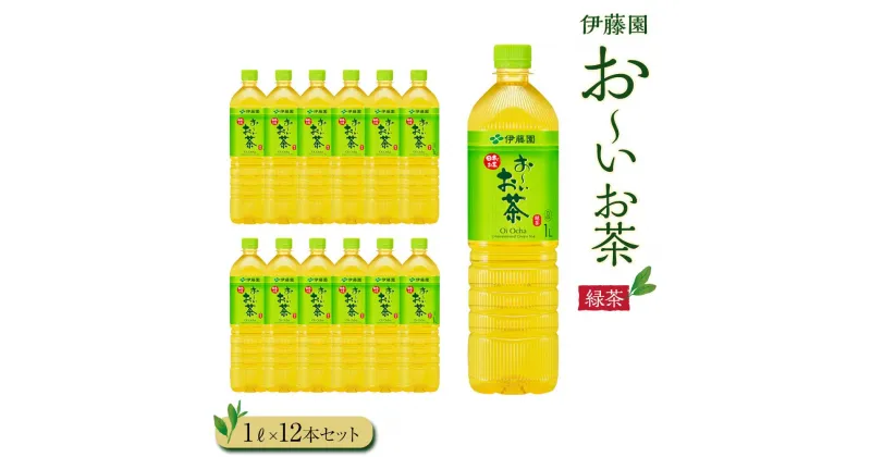 【ふるさと納税】お～いお茶　緑茶1L　12本セット　［おーいお茶 ペットボトル 1リットル ケース 箱 伊藤園 静岡］ | おーいお茶 ペットボトル ぺットボトル飲料 1リットル ケース 箱 伊藤園 静岡 カテキン 送料無料 健康 飲料 ソフトドリンク まとめ買い 常備品