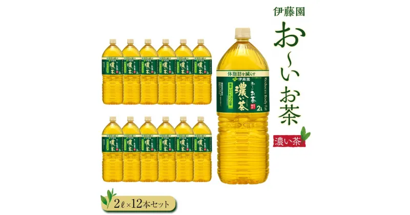 【ふるさと納税】お～いお茶　濃い茶2L　12本セット | おーいお茶 ペットボトル ぺットボトル飲料 2リットル ケース 箱 伊藤園 静岡 カテキン 送料無料 健康 飲料 ソフトドリンク まとめ買い 常備品