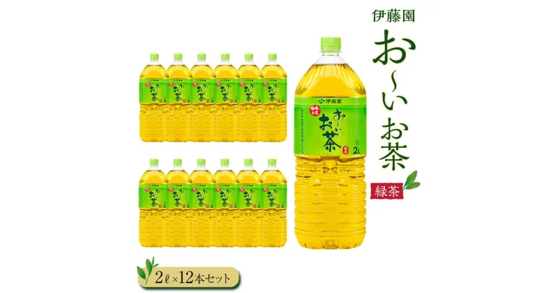 【ふるさと納税】お～いお茶　緑茶2L　12本セット | おーいお茶 ペットボトル ぺットボトル飲料 2リットル ケース 箱 伊藤園 静岡 カテキン 送料無料 健康 飲料 ソフトドリンク まとめ買い 常備品