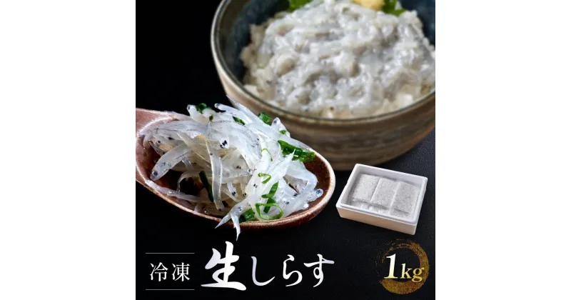 【ふるさと納税】冷凍生しらす　1kg（100g × 10）静岡県御前崎産 生しらす丼 10杯分 小分け 個包装 便利 大容量 徳用 海鮮丼 使いやすい食べきりサイズ どんぶり 刺身 おつまみ おかず 惣菜 晩ごはん | 魚 お魚 さかな 食品 人気 おすすめ 送料無料