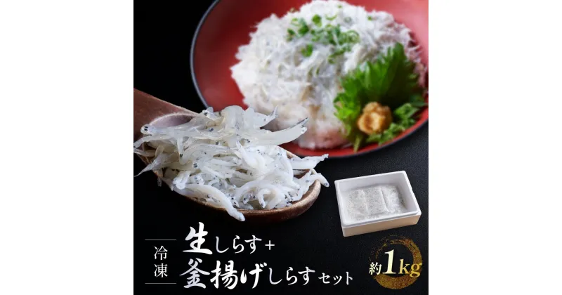 【ふるさと納税】冷凍生しらす＋釜揚げしらすセット 約1kg（生しらす100g × 5・釜揚げしらす70g × 7）静岡県御前崎産 しらす丼 小分け 個包装 便利 大容量 徳用 海鮮丼 どんぶり 刺身 おつまみ おかず 惣菜 晩ごはん | 魚 お魚 さかな 食品 人気 おすすめ 送料無料