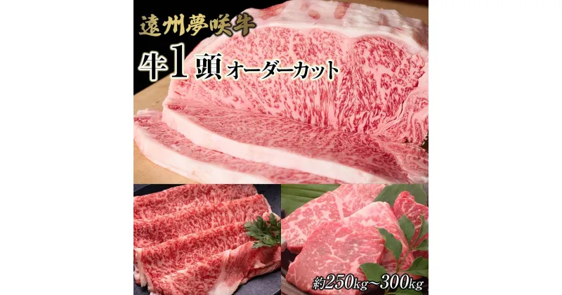 【ふるさと納税】遠州夢咲牛　1頭　黒毛和牛　食べつくし オーダーカット約250kg～300kg 静岡県　地元大人気！！　お肉屋さんマルマツ　肉のプロ | 肉 お肉 にく一頭 1頭 BBQ オーダー 食品 人気 おすすめ 送料無料 ギフト