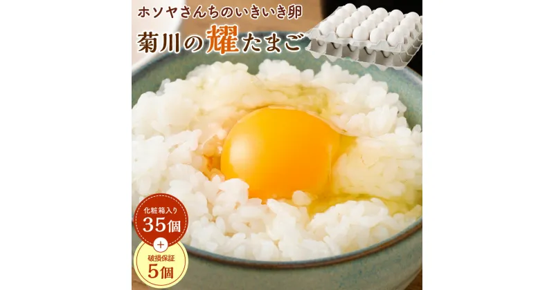 【ふるさと納税】「ホソヤさんちのいきいき卵」菊川の耀たまご 40個セット 卵 たまご タマゴ 玉子 生卵 鶏卵 新鮮 採れたて 産みたて 臭み軽減 お取り寄せ 静岡県 菊川市 送料無料