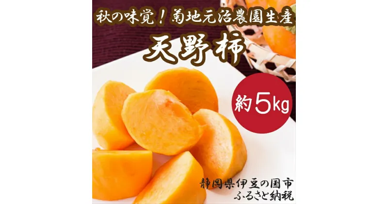 【ふるさと納税】【数量限定】秋の味覚！お徳用 約5kg 菊地元治農園の天野柿 ／ 送料無料 静岡県 220725-01