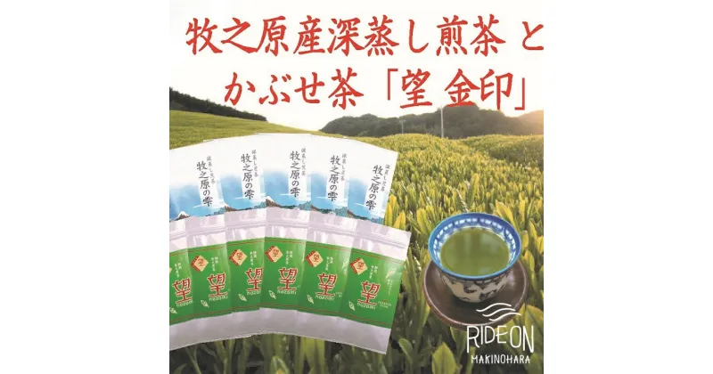 【ふるさと納税】明治創業 澤田行平商店 牧之原産 深蒸し茶 「雫」100g×5袋 かぶせ茶「望」100g×6袋詰合せ / 煎茶 荒茶 日本茶 グリーンティー 静岡県