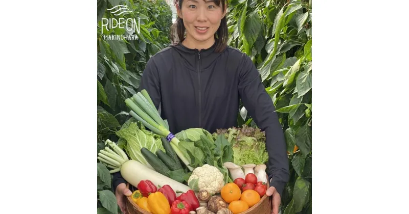 【ふるさと納税】 054-7 生産者の顔が見える！12品目以上 お茶・野菜・お米セット / 牧之原産 深蒸し茶の厳選茶葉 100gこだわりのお米 2gk 新鮮野菜 10品目以上 / 丸新柴本製茶 健康 茶 米 静岡県