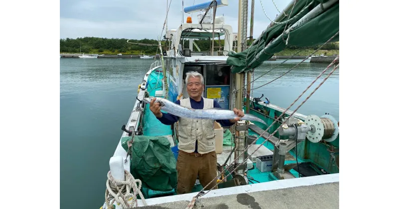 【ふるさと納税】寅さんの釣り船 海宝丸 乗車券 1枚 (釣りもの : タチウオ) / 魚 体験 太刀魚 静岡県