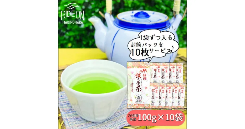 【ふるさと納税】049-1 産地直送摘みたて深蒸し茶100g×10本セット / 茶葉 お茶 静岡